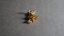 画像をギャラリービューアに読み込む, アンティーク ブローチ リーフ